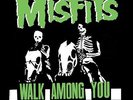 MISFITS- WALK AMONG YOU-LIVE @MICHIGAN UNION BALLROOM 1983- VINYL LP