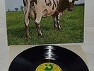 PINK FLOYD - VINYL - 