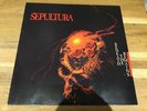 Sepultura Beneath The Remains Lp