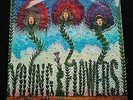 YOUNG FLOWERS Blomsterpistolen Danish SONET 1967 Psych LP Nr MINT Superb