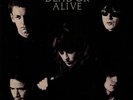 DEAD OR ALIVE/Pete Burns UK LP/Album/12