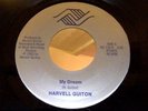 Harvell Guiton 45, My Dream rare unknown private press modern soul ORIGINAL