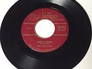 DOO WOP 45 / THE COASTERS / DOWN IN MEXICO / TURTLE DOVIN / ATCO 6064 / HEAR