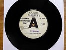 TERRY KNIGHT THE PACK I (Who Have Nothing) PROMO CAMEO PARKWAY 7
