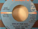 Richard And The Young Lions 1966 Open Up Your Door 45 RARE GARAGE PUNK MINT-