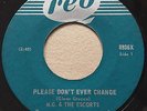 GARAGE PUNK M.G. & The Escorts PLEASE DON'T EVER CHANGE Reo 45 rare mod Canadian