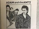 Adam and the Ants - Young Parasians Rare 1st Press Curved Topped Card Sleeve