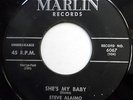 STEVE ALAIMO 45 She's My Baby / I Should Care GARAGE Rockabilly ROCKER 1959 m513