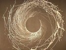 DAWN OF MIDI - Dysnomia - Vinyl (limited 2xLP)