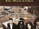 Black Crowes -The Southern Harmony And Musical Companion (Vinyl / Album) (New)