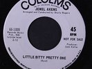 JEWEL AKENS: Little Bitty Pretty One / Born A Loser 45 (dj) Soul