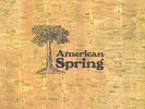 AMERICAN SPRING - SAME - 12