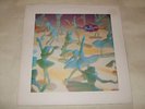 BELLY (THROWING MUSES) - STAR LP CAD 3002 1993 RELEASE 4AD RECORDS