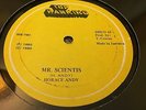 Horace Andy Mr Scientist Devon Irons Rare Killer Roots 12