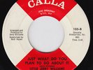 LITTLE JERRY WILLIAMS Just What Do You Plan SWAMP DOGG northern soul M- 45 HEAR