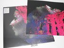 2 LP: Steven Wilson – Hand. Cannot. Erase., Ltd., ART-PRINT Edition, NEU (A7/1)