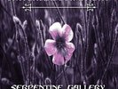 Switchblade Sym - Serpentine Gallery [Vinyl New]