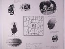 FROLK HAVEN: At The Apex Of High LP (silver label, w/ Stewart Copeland pre-Curv