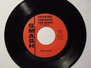 RARE 67 GARAGE PSYCH 45 NGC-4594  SKIPPING THROUGH THE NIGHT  SMASH NOS UNPLAYED