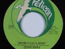 Crossover Soul/Funk 45 DENISE KEEBLE Before It Falls Apart PELICAN HEAR