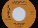 Crossover Soul/Sweet Soul 45 VANGUARDS Ground That You're Walking On VG++ HEAR