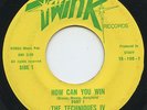 HEAR- Rare Soul 45 - The Techniques IV - How Can You Win, Part I & II- Twink 100