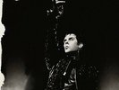 Peter Murphy - Wild Birds Live Tour [New Vinyl]