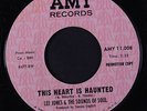 LEE JONES & SOUNDS OF SOUL: This Heart Is Haunted / On The Other Side 45 (dj) r