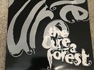 THE CURE - Rare - A Forest - In Between Days Vinyl 12