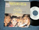 BUCKS FIZZ Japan 1981 WHITE Label PROMO ??? Ex 7