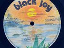 JOHNNY OSBOURNE - Purify Your Heart / Politician - Black Joy 12