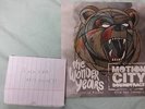 The wonder years motion city soundtrack vinyl