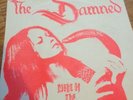 The Damned Night Of The Cobra 7