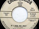 The PLAYBOYS 45 If I Had My Way / Duck Walk CHANCELLOR label DOO WOP e3424