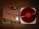 LP AC/DC - T.N.T.   REMASTERED  APLPA-016  rotes vinyl