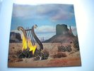 LP LYRES ON FIRE ORIGINAL ACE OF HEARTS GARAGE PUNK 60's DMZ REAL KIDS DEAD BOYS