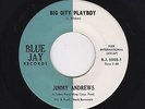 '65 NORTHERN MONSTER JIMMY ANDREWS Big City Playboy BLUE JAY 5003 M- HEAR LOOK