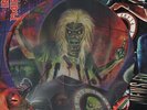 Picture Vinyl Iron Maiden Out Of The Silent Planet 12 EMI