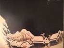 Pinkerton by Weezer 2 LP Limited Edition Vinyl Record 180 Gram Original Master