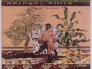 ANTHONY WHITE: Could it Be Magic USA Funk Soul ORIG  Philly PROMO NM-