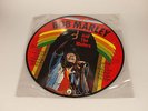 Bob Marley & The Wailers Vinyl Picture Disc AR30004