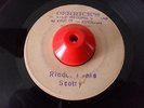 SCOTTY RIDDLE I THIS /DERRICK H BLANK1971 MTRX DYNA.DH3102/3008-1