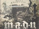2xLP Bizzy Montana Madu 4 LTD. VINYL EDITION NEW OVP Wolfpack Entertainment