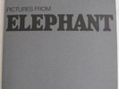 WHITE STRIPES THIRD MAN RECORDS PICTURES FROM ELEPHANT DAVID SWANSON VAULT #16