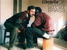 Best Of Gypsy Brass - Fanfare Ciocarlia (2009, Vinyl NEW)