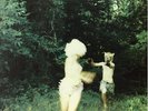 Harmlessness [VINYL] The World is a Beautiful Place & I am No Longer Afraid to D