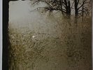 Bon Iver - For Emma, forever ago LP NEU/SEALED
