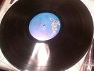 Germfree adolescents LP