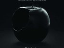 SECRETS OF THE MOON - Privilegivm (Re-release) - Vinyl 2-LP - grey Vinyl