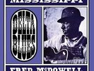 MISSISSIPPI FRED MCDOWELL-DELTA BLUES (LIMITED BLUE VINYL)-VINYL LP ARHOOLI NEW